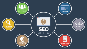 seo-ou-ppc-qual-a-melhor-estrategia-para-o-seu-marketing-digital